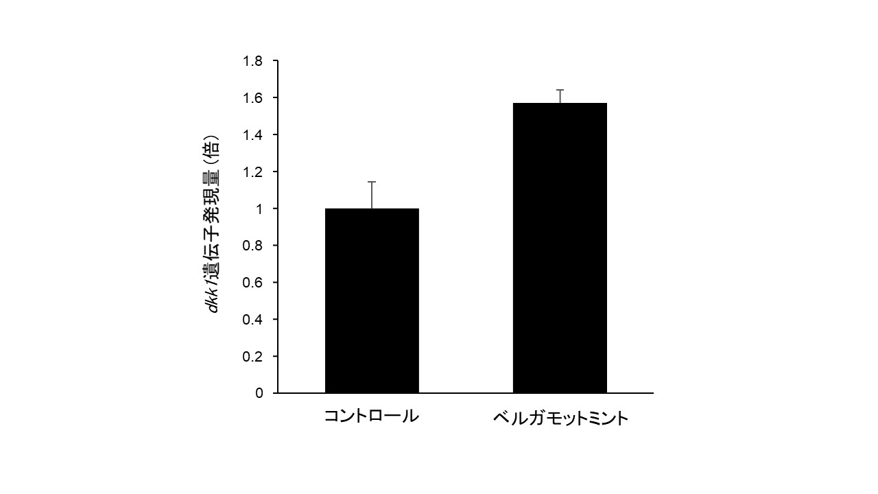 ベルガモットミントエキスのDKK1促進作用を日本薬学会にて発表　〜　ナガセビ…